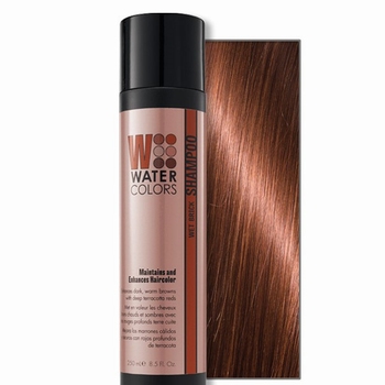 WATERCOLORS MAINTENANCE SHAMPOO WET BRICK